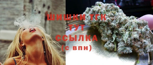 ешки Козельск