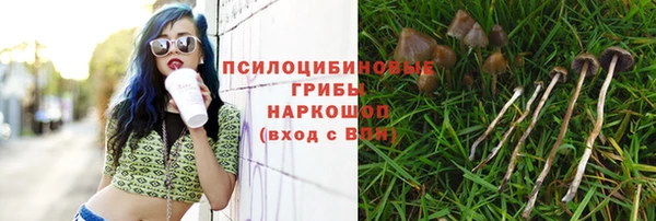 ешки Козельск
