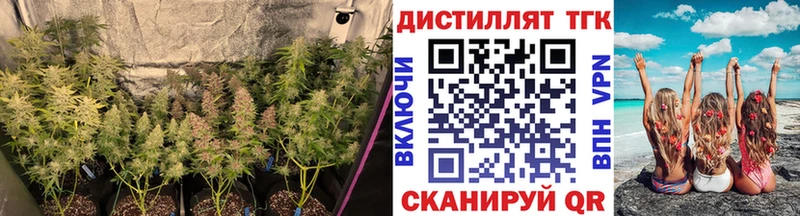 ТГК вейп  Красный Кут 