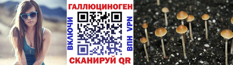 Псилоцибиновые грибы мицелий  KRAKEN зеркало  Красный Кут 